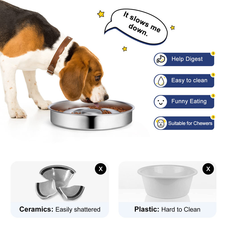 Pet bowl for fast eaters new arrivals